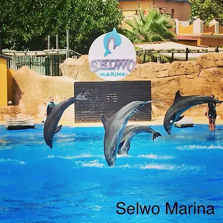 Bonanza 5 Benalmádena