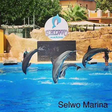 Bonanza 5 Benalmadena